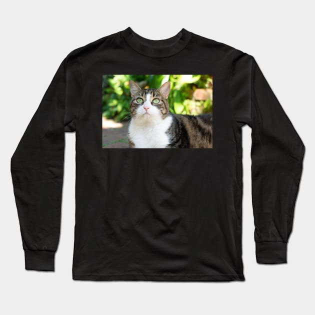 pretty cat Long Sleeve T-Shirt by sarelitay